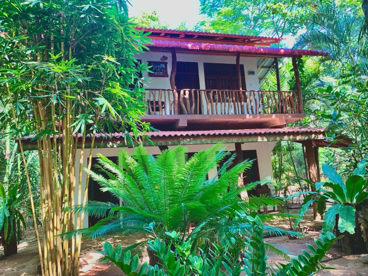 Walawa Blue Sapphire Hotel Udawalawe Ngoại thất bức ảnh