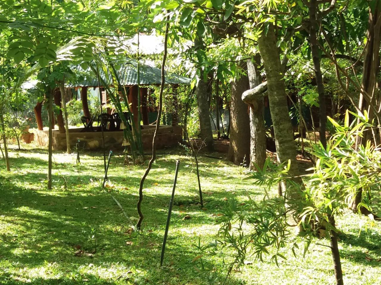 Walawa Blue Sapphire Hotel Udawalawe Ngoại thất bức ảnh